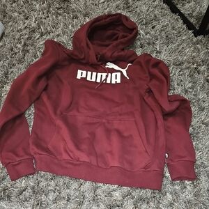 Puma Men's Burgundy Hoodie Sweater